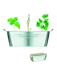 Vaschetta con 3 semi di erbe