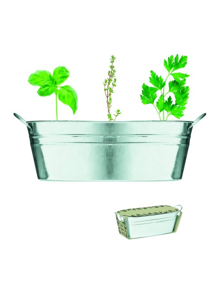 Vaschetta con 3 semi di erbe