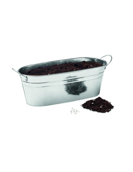 Vaschetta con 3 semi di erbe