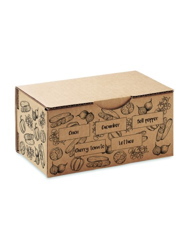 Kit per coltivare insalata