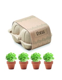 Kit di coltivazione in cartone