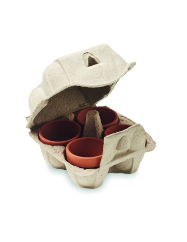 Kit di coltivazione in cartone