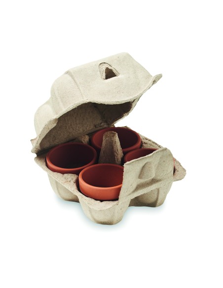 Kit di coltivazione in cartone