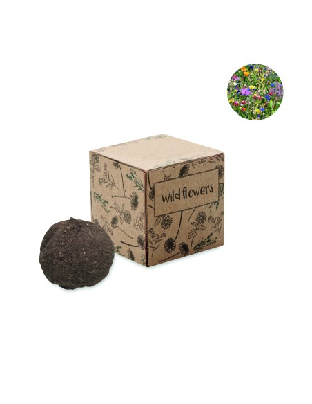 Kit di coltivazione in cartone