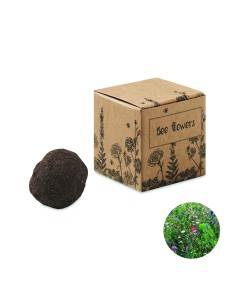 Bomba di semi di fiori d'ape