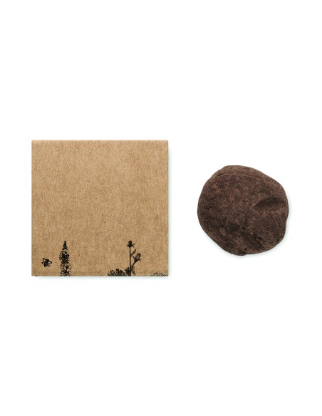 Bomba di semi di fiori d'ape