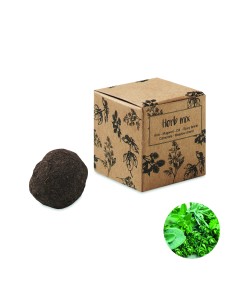 Bomba di semi di erbe