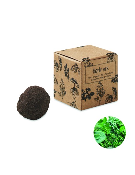 Bomba di semi di erbe