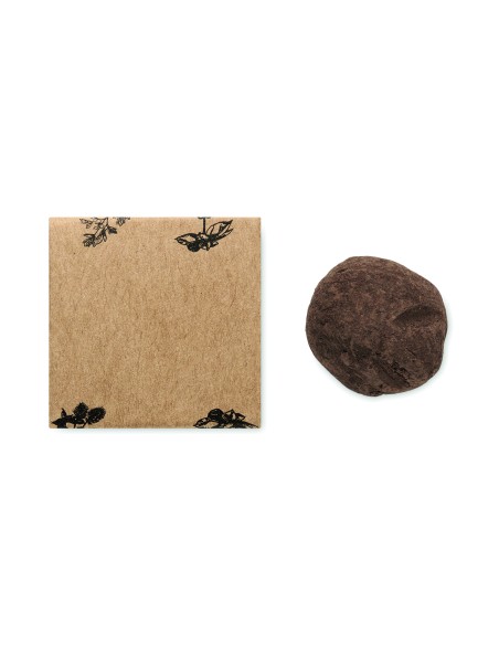 Bomba di semi di erbe