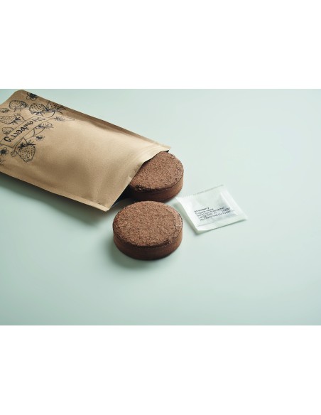 Kit per coltivare le fragole