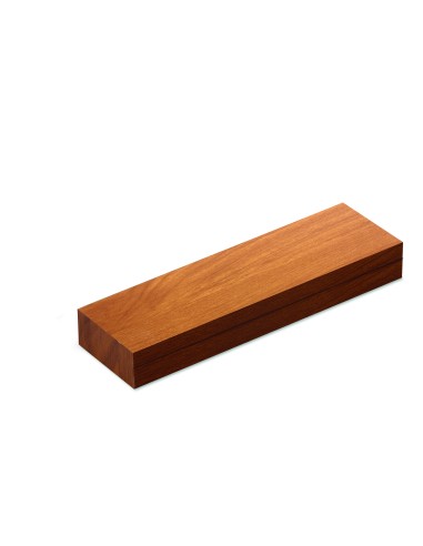 Penna a sfera multifunzione