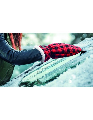 Guanto raschiaghiaccio