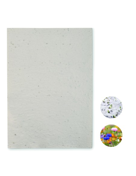 Foglio A4 in carta con semi