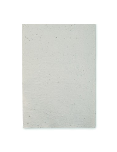 Foglio A4 in carta con semi