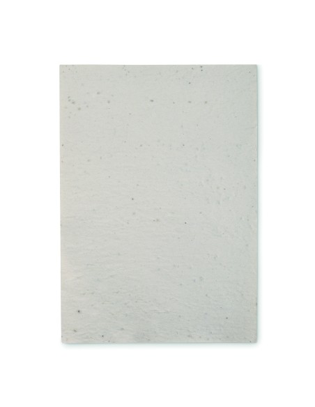 Foglio A4 in carta con semi