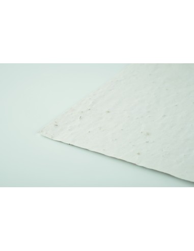Foglio A4 in carta con semi