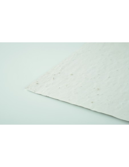 Foglio A4 in carta con semi