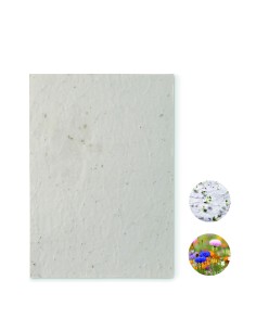 Foglio A5 in carta con semi