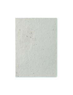 Foglio A5 in carta con semi