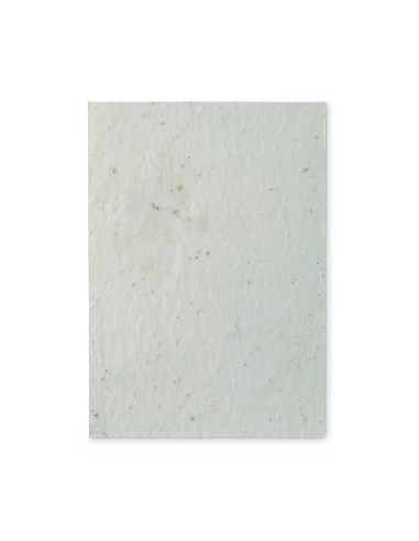 Foglio A5 in carta con semi