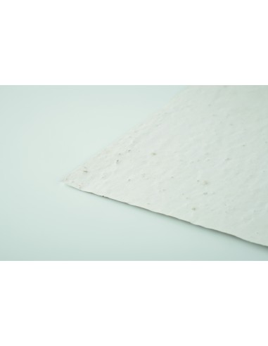 Foglio A5 in carta con semi