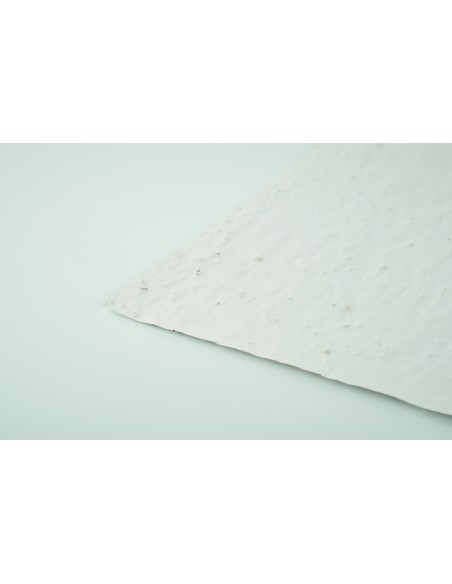 Foglio A5 in carta con semi