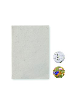 Foglio A6 in carta con semi