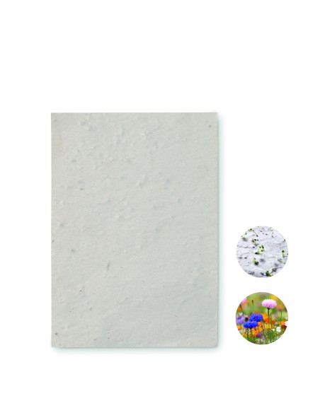 Foglio A6 in carta con semi