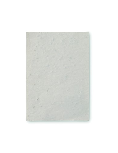 Foglio A6 in carta con semi
