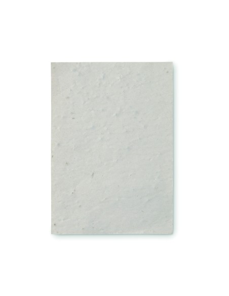 Foglio A6 in carta con semi