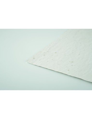 Foglio A6 in carta con semi