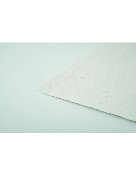 Foglio A6 in carta con semi