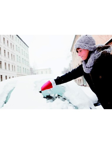 Guanto raschiaghiaccio