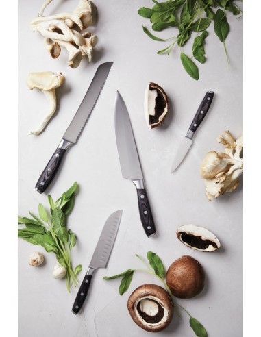 Coltello da chef VINGA Kaiser