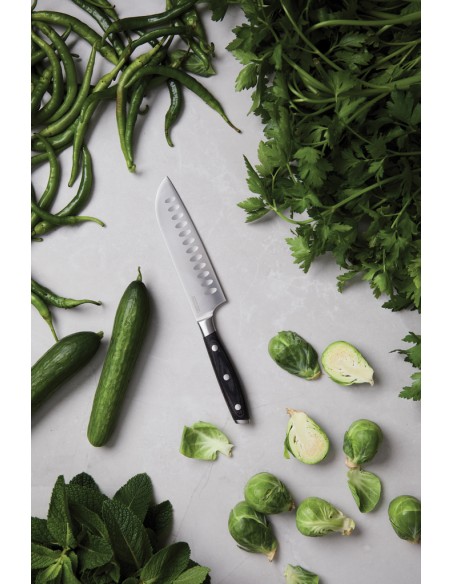 Coltello VINGA Kaiser Santoku