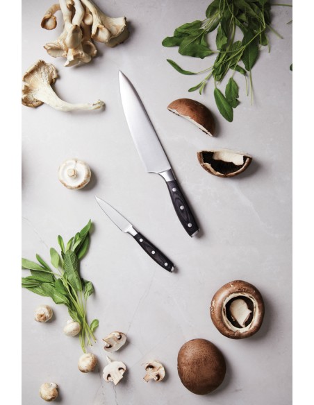 Set da chef  VINGA Kaiser