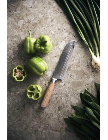 Coltello VINGA Hattasan Damascus Santoku