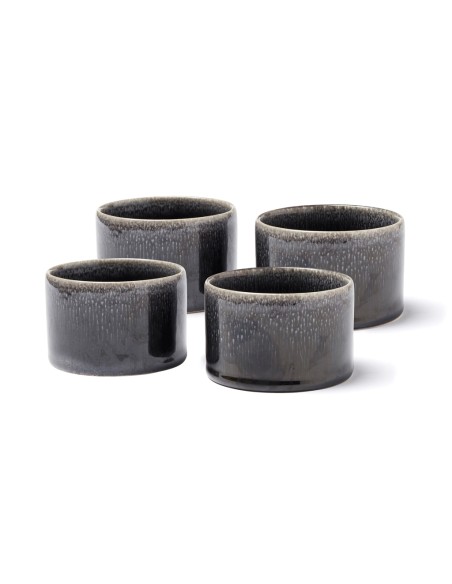 Set da 4 pezzi mini ciotole VINGA Nomimono