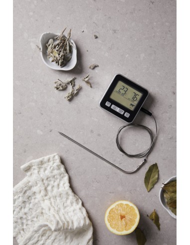 Termometro VINGA Hays