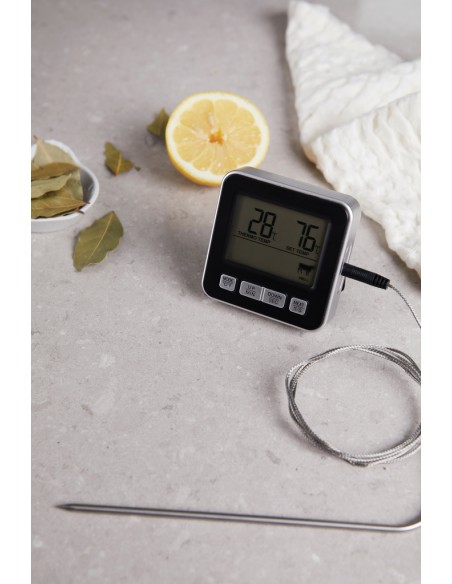 Termometro VINGA Hays