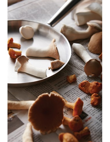 Padella outdoor VINGA Vici