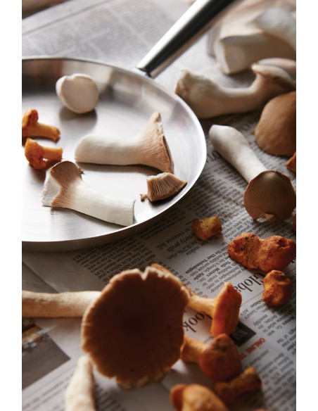 Padella outdoor VINGA Vici