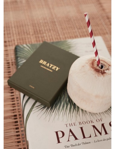 Gioco da tavolo VINGA Bratzy Coffee