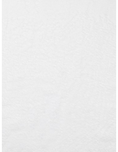 Asciugamani VINGA Birch 70x140