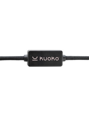 Cavo di protezione anti hackeraggio Datalock 60W RCS