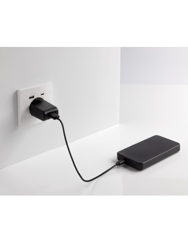 Powerbank 10.000 mAh Boostcore con type C in rABS RCS