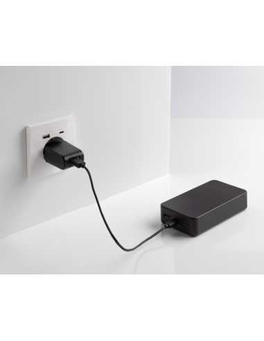 Powerbank 20.000 mAh Boostcore con type C in rABS RCS