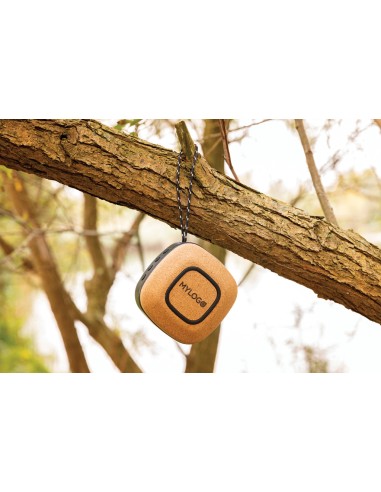 Speaker wireless 5W Baia