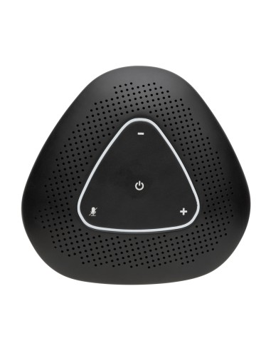 Speaker conference call