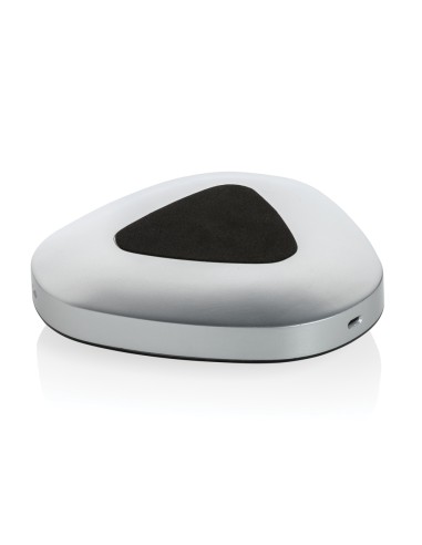 Speaker conference call